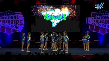 The Stingray Allstars - Wildfire [2025 L4.2 Senior - Small Day 2] 2025 NCA All-Star National Championship