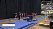 Mary Reichart - Women's Group, Triad Gymnastics - 2021 Women's Xcel Region 4 Championships