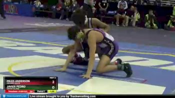 Quarterfinal - Javier Pedro, Grand Island vs Miles Anderson, Millard South