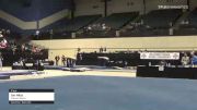 Sai Nitta - Floor, Premier West IL - 2021 USA Gymnastics Development Program National Championships