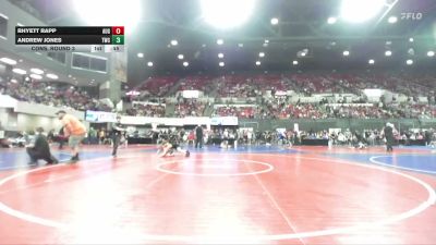 87 lbs Cons. Round 3 - Rhyett Rapp, Augusta vs Andrew Jones, THT Wrestling Club
