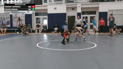 87 lbs Rr Rnd 5 - Vincent Antonelli, Malvern Prep - MS vs Mason Gibson, Revival X - MS