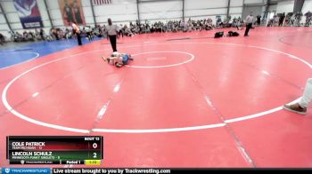 68 lbs Rd# 6- 9:00am Saturday Final Pool - Lincoln Schulz, Minnesota Funky Singlets vs Cole Patrick, Team Michigan