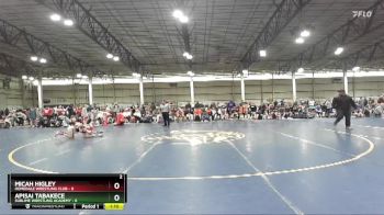 83 lbs Round 1 (4 Team) - Apisai Tabakece, Sublime Wrestling Academy vs Micah Higley, Homedale Wrestling Club