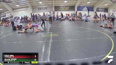 167 lbs Round 4 (6 Team) - Elijah Wood, MILO`s Misfits vs Cole Abel, Timberlane