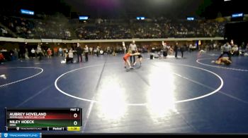 95 lbs Round 3 - Aubrey Hoveland, Riverhawk Wrestling Club vs Niley Hoeck, Iowa