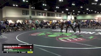 170 lbs Round 4 (16 Team) - Brandon Bruce-Bey, Ohio Titan Blue vs David Hall, Applied Pressure X Kame