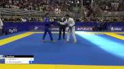 FABRICIO ANDREY vs ALEXSSANDRO PINTO SODRÉ 2023 Brasileiro Jiu-Jitsu IBJJF