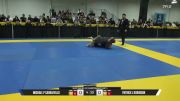 Patrick L Robinson vs Michael P Carrafiello 2026 Pan IBJJF Jiu-Jitsu No-Gi Championship