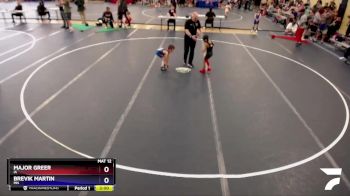 53 lbs Quarterfinal - Major Greer, IA vs Brevik Martin, MN