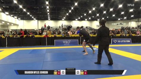 Robert J. Armstrong vs Brandon Myles Johnson 2025 World IBJJF Jiu-Jitsu No-Gi Championship