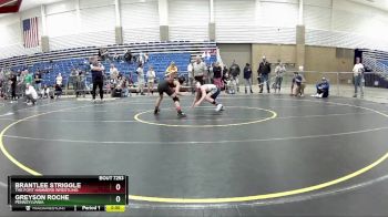 84 lbs 7th Place Match - Greyson Roche, Pennsylvania vs Brantlee Striggle, The Fort Hammers Wrestling