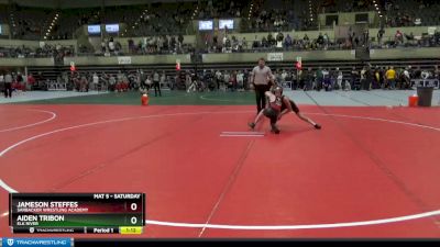 95 lbs Quarterfinal - Aiden Tribon, Elk River vs Jameson Steffes, Sarbacker Wrestling Academy