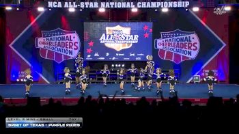 Spirit of Texas - Purple Pixies [2026 L2 Mini - Small Day 1] 2026 NCA All-Star National Championship