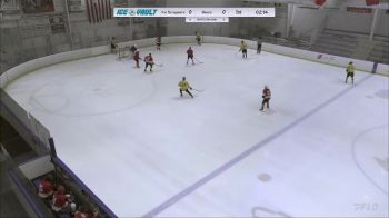 Replay: Home - 2024 Ice Scrapers vs Bears | Feb 12 @ 9 PM