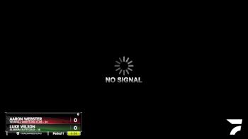 110 lbs Round 5 (8 Team) - Luke Wilson, Alabama Elite Gold vs Aaron Webster, Techfall Wrestling Club