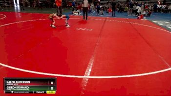 55 lbs Quarterfinal - Kaleb Anderson, Border West vs Gideon Romano, LSH (LeSueur/Henderson)
