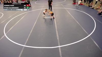 8U - I Cons. Round 1 - Dominic Fesik, Farmington Wrestling Club vs Ryker Kalkbrenner, DC/L