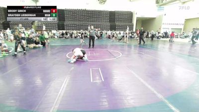 77 lbs Rr Rnd 7 - Brody Grich, Warhawks Wrestling Inc. ES-CL vs Brayden Lieberman, Maine Hammahs ES