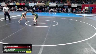 103 lbs Semifinal - Tommy Jarnig, Seward High School vs Paxton Lawhorne, Delta