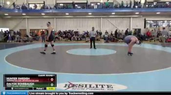 285 lbs Champ. Round 2 - Daniel Metz, Shenandoah University vs Palmer Rodenhaber, Alvernia University