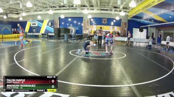 145 lbs Semis & Wb (16 Team) - Brendan Rodriguez, Eagle Empire vs Talon Maple, Funky Monkey