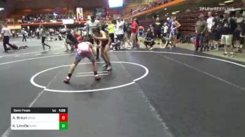 109 lbs Semifinal - Alex Braun, Woodbury vs Kyle Linville, Shakopee Mat Club