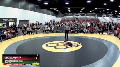 65 lbs Round 3 (8 Team) - Kameron Cushman, POWA vs Lincoln Brower, Mat Assassins