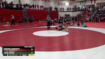 145 lbs Cons. Round 1 - Luke Healey, Wahlert, Dubuque vs Hunter Hardwick, Normal (Community) JV