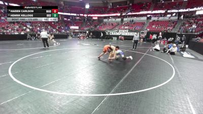 175 lbs Champ. Rd Of 16 - Henrik Kellogg, Brookfield Central vs Haiden Carlson, Marshfield