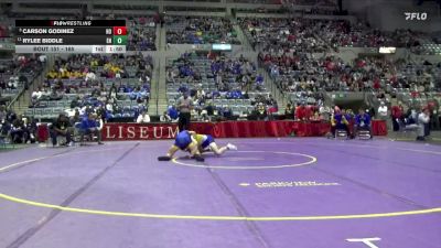 165 lbs Quarterfinal - Carson Godinez, Homestead vs Rylee Biddle, East Noble