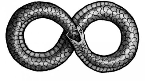 Ouroboros: How Jiu Jitsu Is Turning On Itself