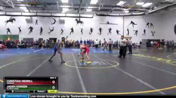 125 lbs Quarterfinal - Christian Merrill, Wabash vs Jaden Hansen, Alfred State