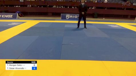 Trent Morgan Soto vs Troy Cesar Alvarado 2024 Pan IBJJF Jiu-Jitsu No-Gi Championship