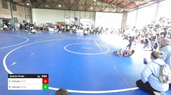 46 lbs Quarterfinal - Emory Harper, Bearcat Takedown Club vs Kynleigh Harper, Dark Cloud Wrestling Club