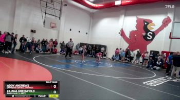 110 lbs Quarterfinal - Addy Andrews, Lafayette Central Catholic vs Liliana Greenfield, Evansville F.j. Reitz