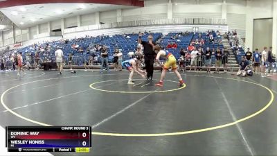 126 lbs Champ. Round 3 - Dominic Way, WV vs Wesley Honiss, MI