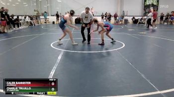 112 lbs Champ. Round 1 - Caleb Bannister, Allendale vs Charlie Trujillo, 3F Wrestling