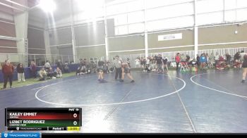 170 lbs Cons. Round 3 - Kailey Emmet, Uintah vs Lizbet Rodriguez, Canyon View