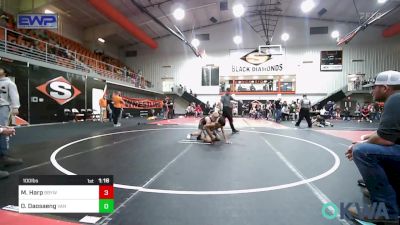 100 lbs Rr Rnd 5 - Maddon Harp, Broken Bow Youth Wrestling vs Odin Daosaeng, Van Buren Matdawgs