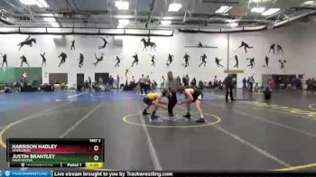 125 lbs 3rd Place Match - Harrison Hadley, Heidelberg vs Justin Brantley, Manchester