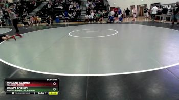 113 lbs Cons. Round 4 - Vincent Schmid, Mille Lacs Raiders vs Wyatt Forney, Nebraska Wrestling Academy