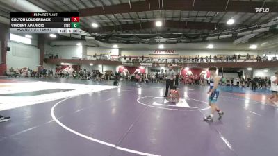 95 lbs Round 1 (12 Team) - Colton Louderback, Boyertown vs Vincent Aparicio, Steller Trained Bacara