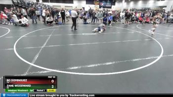 114 lbs Cons. Round 4 - Bo Dominguez, TN vs Zane Woodward, NE