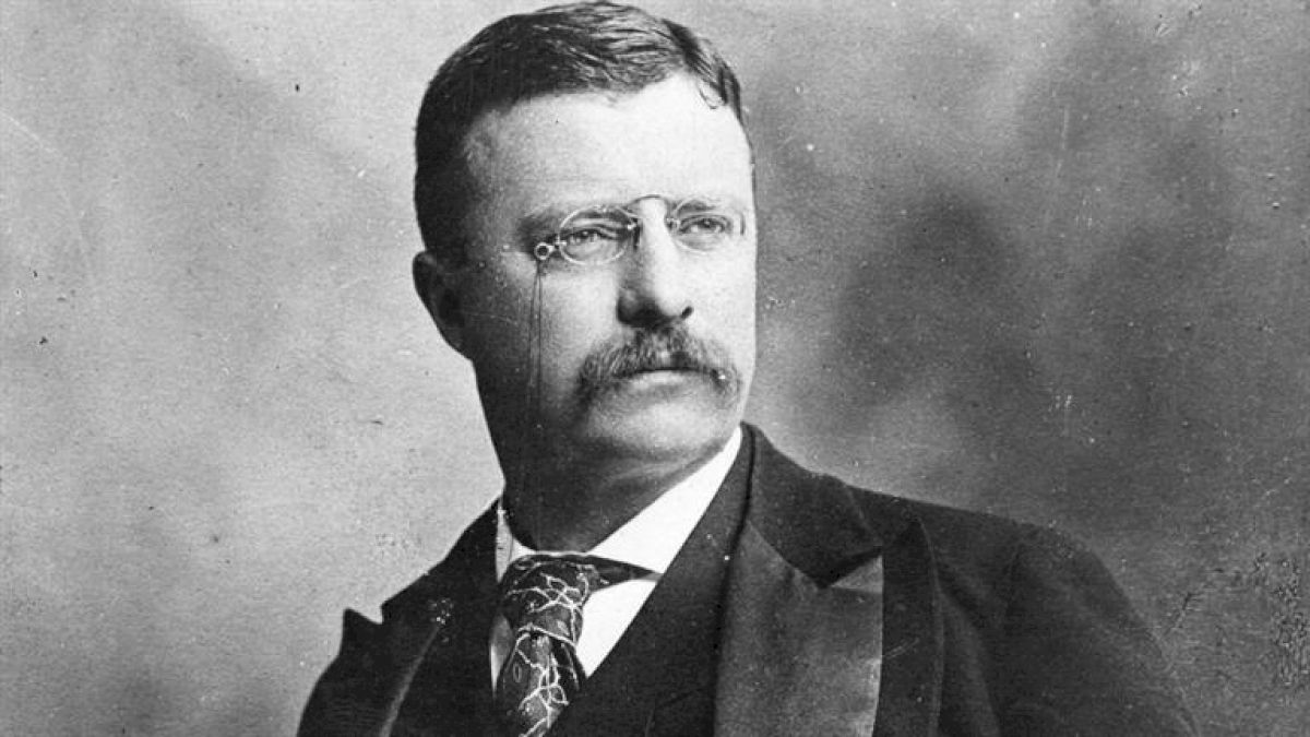 The Forgotten Fighting Career of Theodore Roosevelt