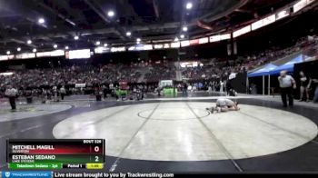 170 lbs Champ. Round 1 - Esteban Sedano, Lake Stevens vs Mitchell Magill, Silverton