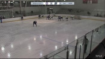 Replay: Home - 2025 Wolves vs Aviators | Feb 16 @ 4 PM