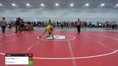 120 lbs Semifinal - Aaden Schiefer, York vs Blake Fumia, Red Lion