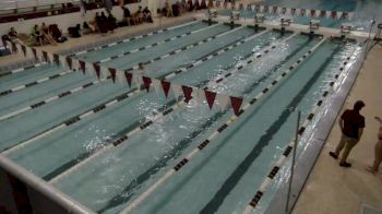 Replay: Swimming - 2024 MIT vs Springfield | Nov 2 @ 12 PM