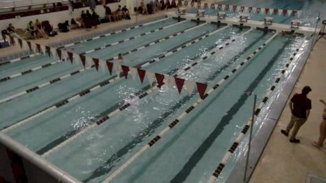 Replay: Swimming - 2024 MIT vs Springfield | Nov 2 @ 12 PM